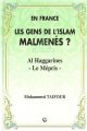 En France, les gens ge l'islam malmenes  "Al haggarines - Le mepris"